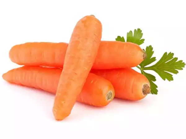 fresh carrot