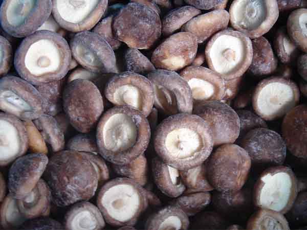 frozen shiitake